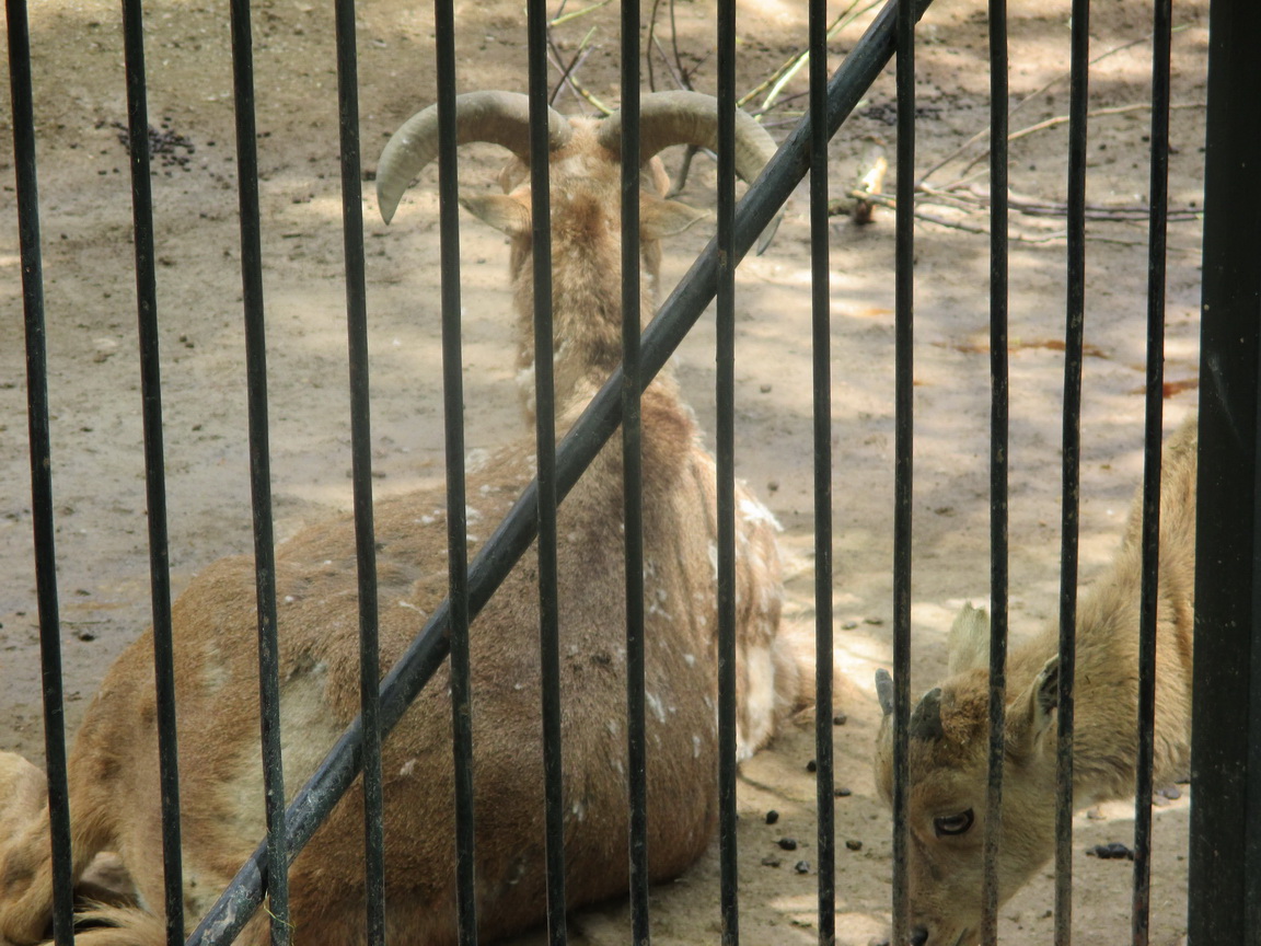 IMG_0372_resize_resize